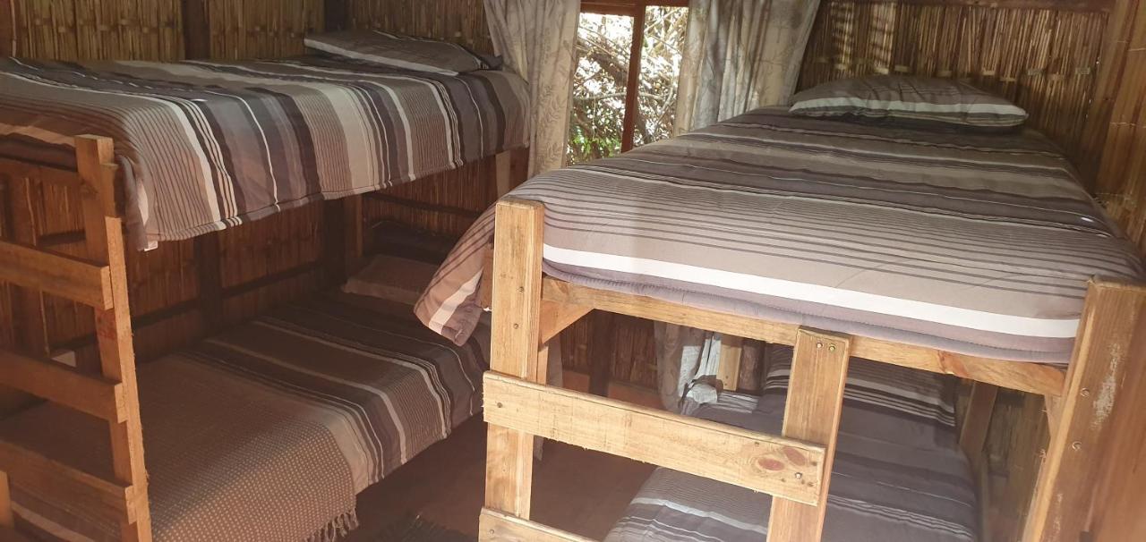 Mozbevok Coconut View Resort بونتا دو أورو المظهر الخارجي الصورة