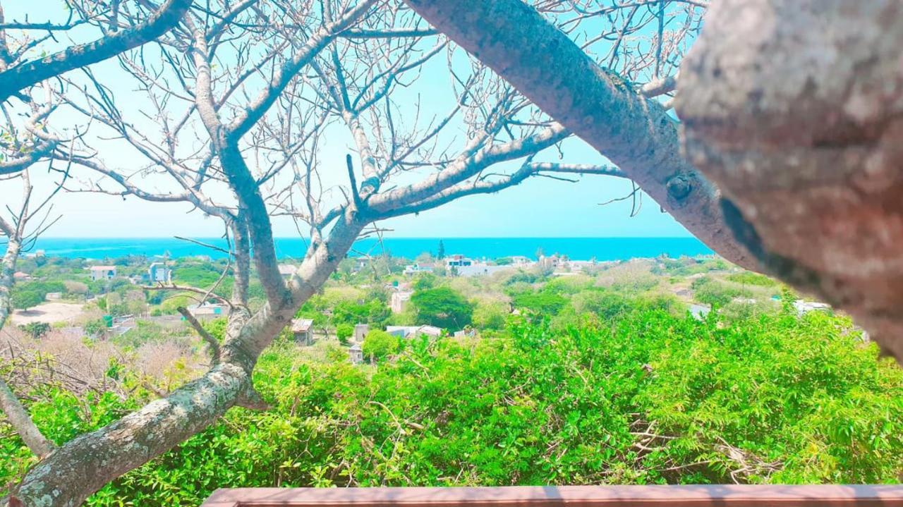 Mozbevok Coconut View Resort بونتا دو أورو المظهر الخارجي الصورة