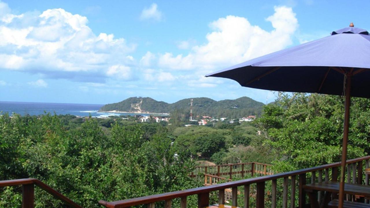 Mozbevok Coconut View Resort بونتا دو أورو المظهر الخارجي الصورة