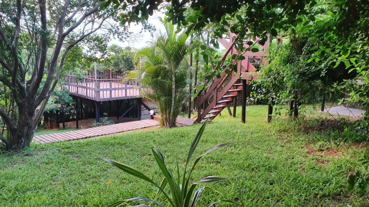 Mozbevok Coconut View Resort بونتا دو أورو المظهر الخارجي الصورة