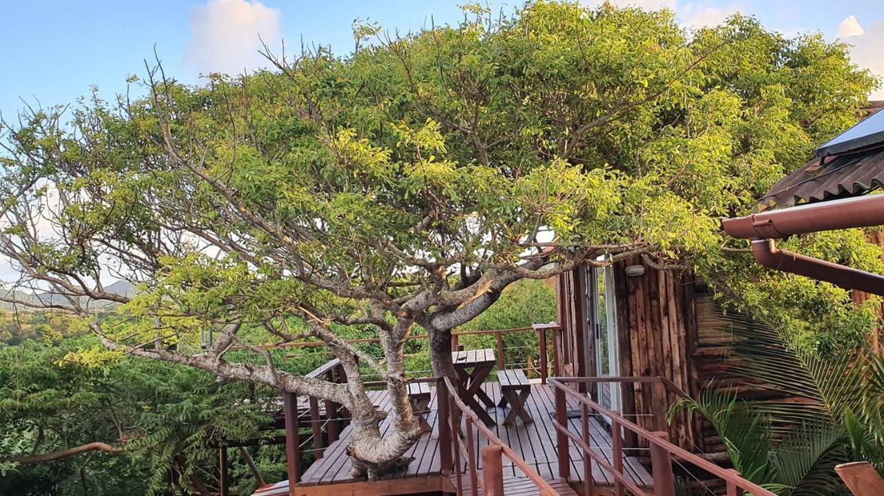 Mozbevok Coconut View Resort بونتا دو أورو المظهر الخارجي الصورة