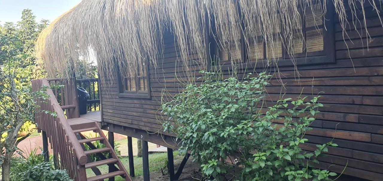 Mozbevok Coconut View Resort بونتا دو أورو المظهر الخارجي الصورة