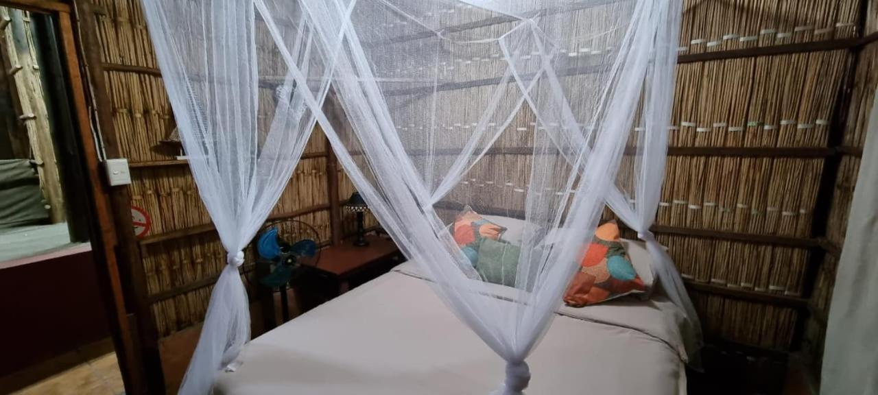 Mozbevok Coconut View Resort بونتا دو أورو المظهر الخارجي الصورة