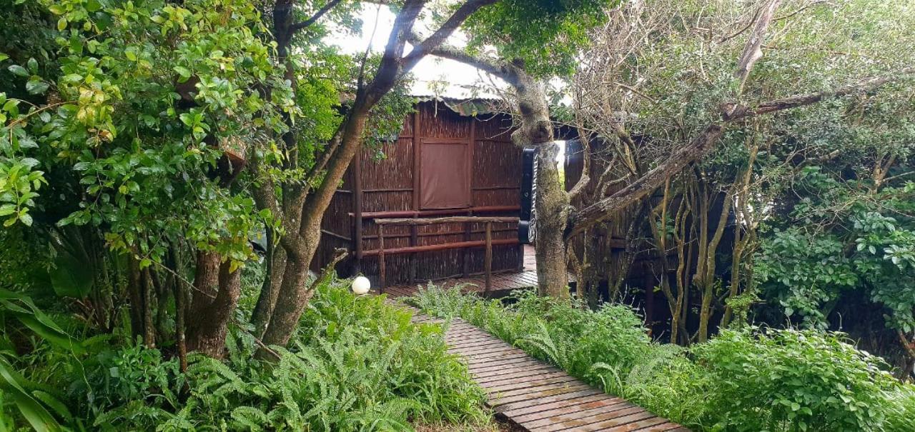 Mozbevok Coconut View Resort بونتا دو أورو المظهر الخارجي الصورة