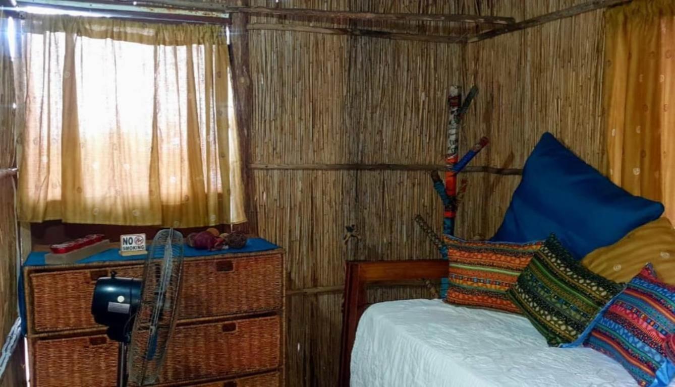 Mozbevok Coconut View Resort بونتا دو أورو المظهر الخارجي الصورة