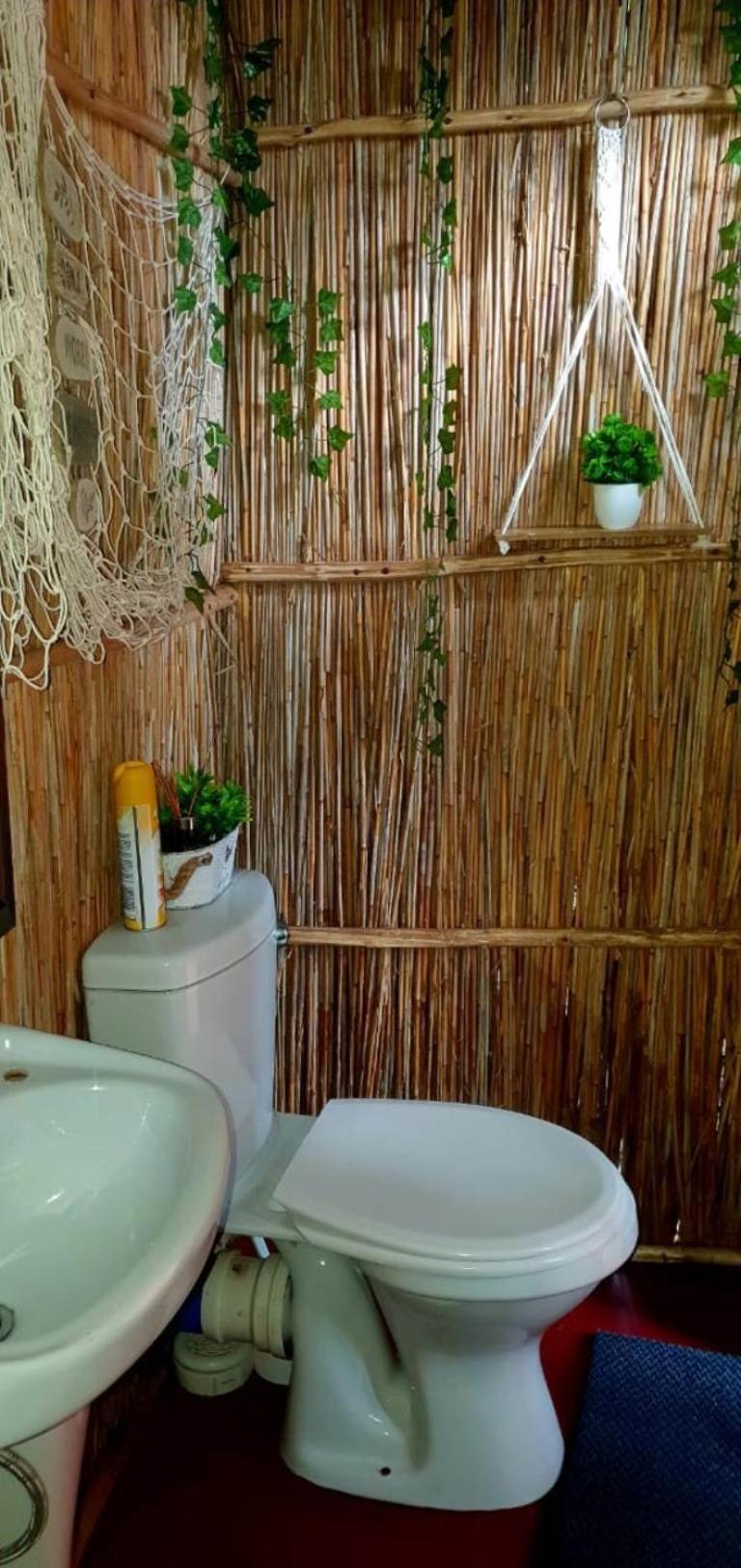 Mozbevok Coconut View Resort بونتا دو أورو المظهر الخارجي الصورة